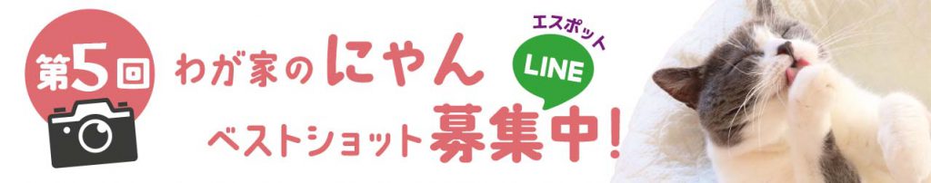 2025.2.13-3.4_第５回にゃんベストショット・LINEキャンペーン